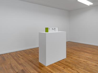 Lauren Spencer King, In pursuit, exhibition view. Courtesy of Regards Gallery