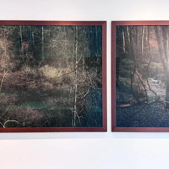 Edo Costantin, Winter solstice: seeds of nothingness, exhibition view. Courtesy of Praxis