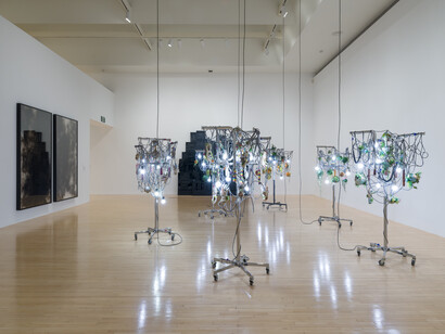Installation view of Diary of flowers: Artists and their worlds, March 9, 2025–January 4, 2026 at
MOCA Grand Avenue. Courtesy of The Museum of Contemporary Art (MOCA). Photo by Jeff
McLane