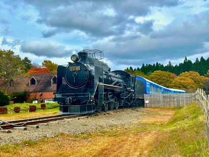 Ancient steam locomotive D51 of the old Japan national railway, Koiwai Farm © Alma Reyes