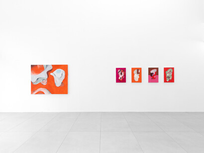 Antonio Malta Campos, Opalescent, exhibition view. Courtesy of Simões de Assis Gallery