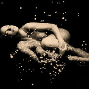 Paul Cupido, Kachō fūgetsu 花鳥風月 flower, bird, wind, moon. Courtesy of The Photographers Gallery 