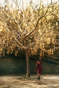 Le avventure di Pinocchio sono un viaggio iniziatico dalle tenebre alla luce