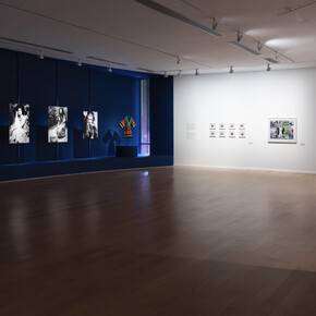 Dalila Puzzovio, Dalila Puzzovio Autorretrato, vista de exhibición. Cortesía del Museo de Arte Moderno de Buenos Aires 