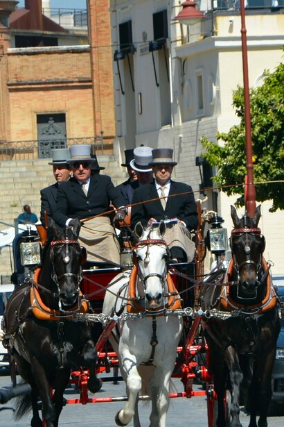 El sonido de los carruajes marca el ritmo de todos los mediodías
