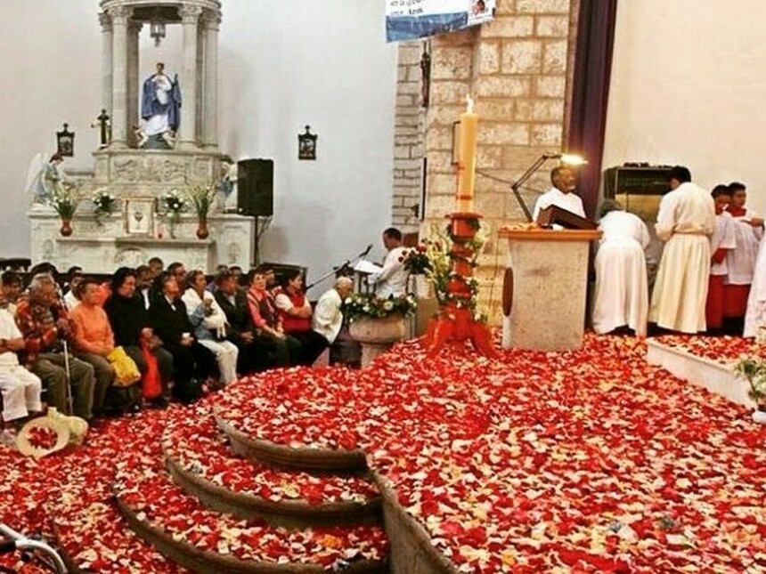 Lluvia de pétalos de rosa Meer