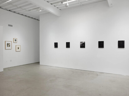 Various artists, A petal's edge, exhibition view. Courtesy of Casemore Gallery