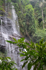 Chikamagalur, The Falls