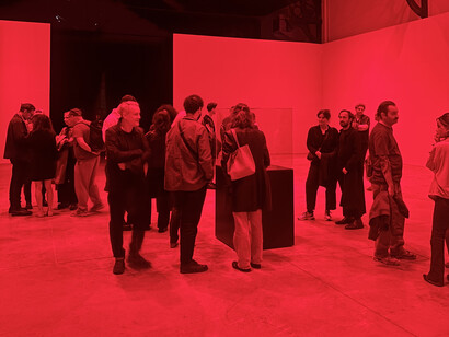 Alfredo Jaar, La fin du monde, exhibition opening. Courtesy of La Patinoire Royale Bach