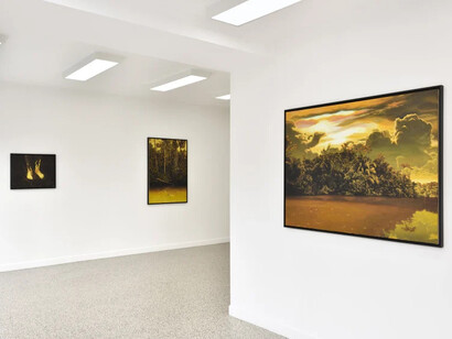 Bruno Gadenne, Eldorado, vue de l'exposition. Avec l'aimable autorisation de la galerie Prima