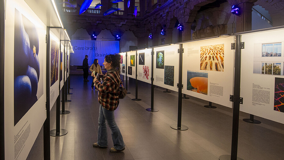 Fotociencia, exhibition view. Courtesy of Casa de la Ciencia 