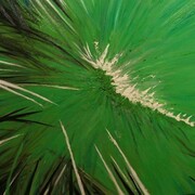Silvia Senna, Implosione in Verde, 2011, 100 x 120 cm