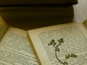 A admiração de Simone por Zaza é tanta que chega a ser confundida com uma paixão platônica