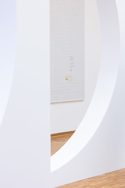 Evelyn Taocheng Wang. Wolfgang-Hahn-Preis 2025, ausstellungsansicht. Mit freundlicher genehmigung des Museum Ludwig