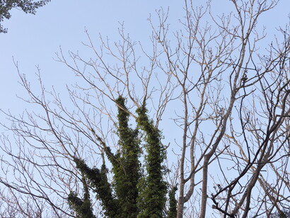 Escribir, dibujar o componer lejos del ruido cotidiano transforma el proceso creativo en una experiencia más consciente y sostenida. Villa Serrana, Lavalleja, Uruguay