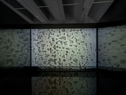 Zheng Chongbin, Golden state, exhibition view. Courtesy of Los Angeles County Museum of Art (LACMA)