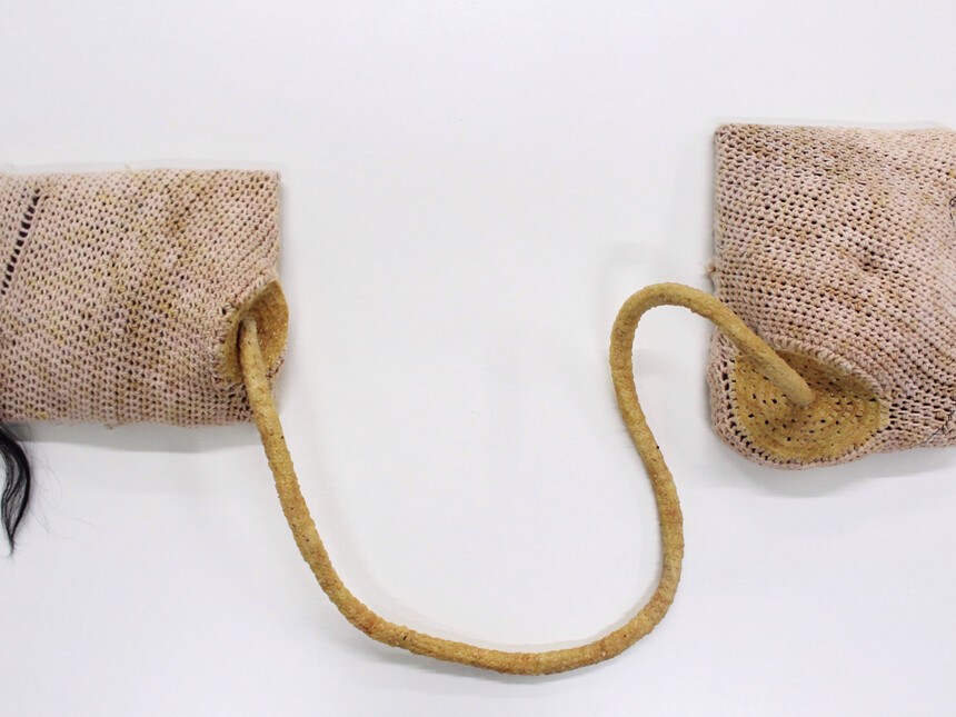 The host and its guests