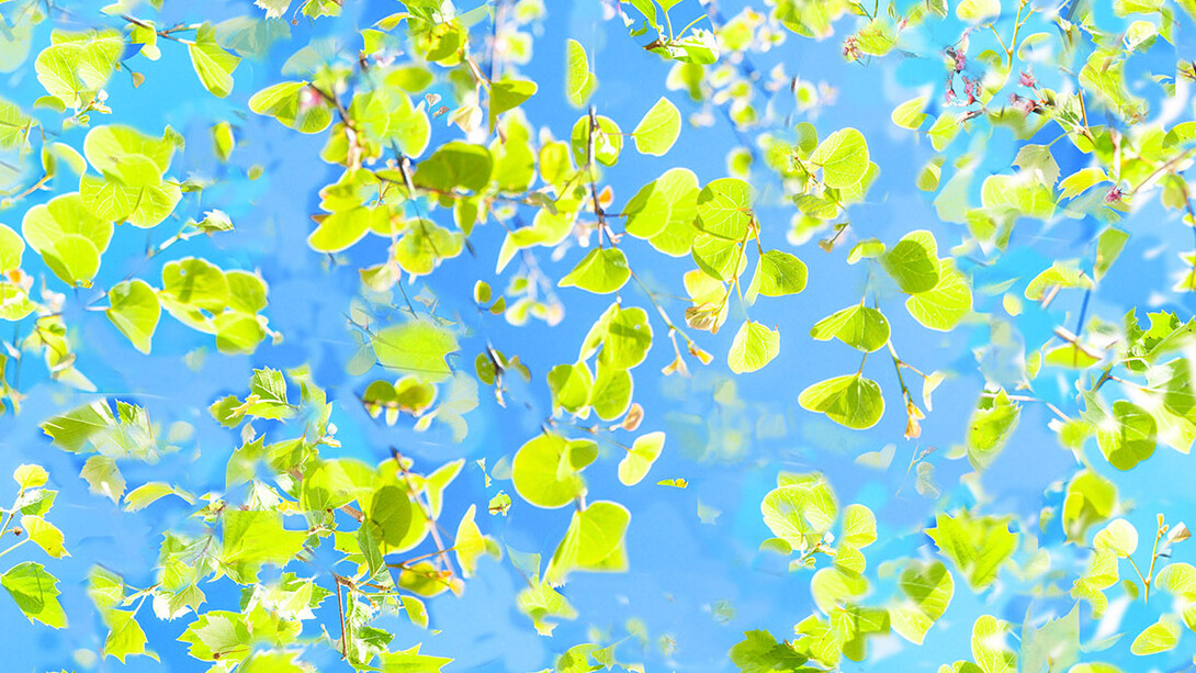 Ralf Peters, Sweets 6 Mo (detail), 2024. Courtesy of Bernhard Knaus Fine Art Gallery