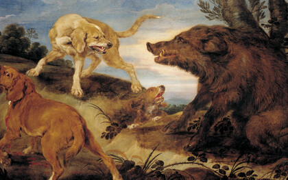 De Vos Paul, Caccia al cinghiale selvatico, 1630-1672 circa. Galleria Sabauda, Torino, Italia 