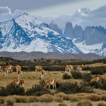 Il Cile si stende come una ferita luminosa tra oceano e cordigliera, una terra lunga e solitaria che educa i suoi abitanti al silenzio e alla resistenza. Torres de Paine, Cile