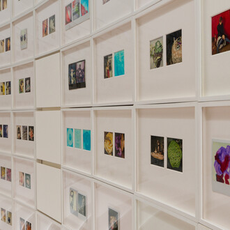 Araki Nobuyoshi, Polaraki, vue d'exposition. Avec l'aimable autorisation du Musée Guimet