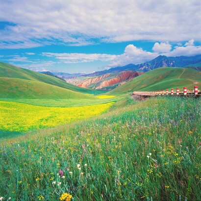 Il contatto con ambienti naturali migliora l’umore e aumenta la sensazione di calma e serenità