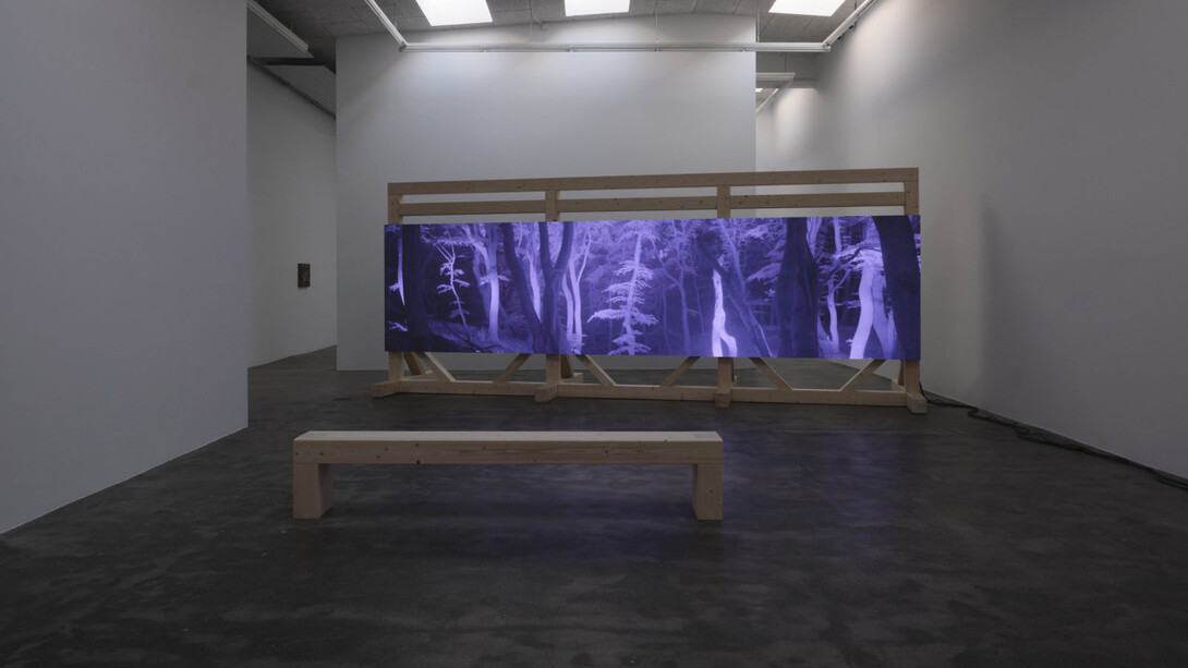 Jesper Just, Interoceptions, exhibition view. Courtesy of Galleri Nicolai Wallner 