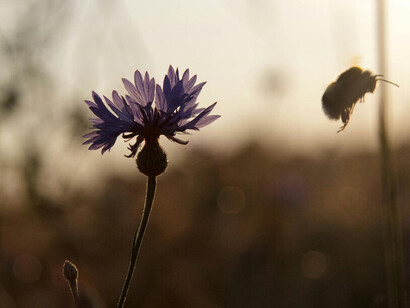 A veces, lo que comienza como una búsqueda individual se convierte en una manera de conectar con el bienestar colectivo