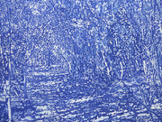 Franz Gertsch, Blauer waldweg campiglia marittima, 2021. Mit freundlicher Genehmigung des Museums Franz Gertsch