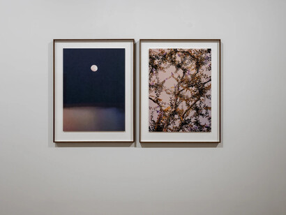 Paul Cupido, L’heure bleue, exhibition view. Courtesy of Bildhalle Gallery