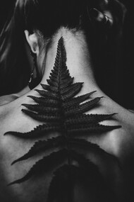 Costas de uma pessoa humana em estado de transição para uma nova natureza