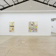 Grass Valley, Flowers and mushrooms, exhibition view. Courtesy of the Pit