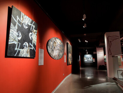 2026 Erarta prize, exhibition view. Courtesy of Erarta Museum