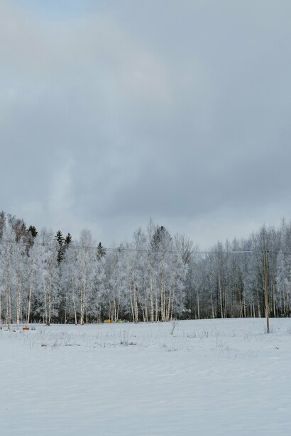 Like a frozen stage, history holds its breath between acts of war and peace