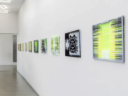 Soledad Salamé, Camouflage, exhibition view. Courtesy of Goya Contemporary