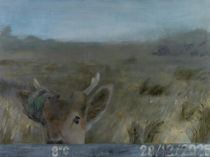 Beatrice O'Connell, Entangled (detail), 2025. Courtesy of Taylor Galleries