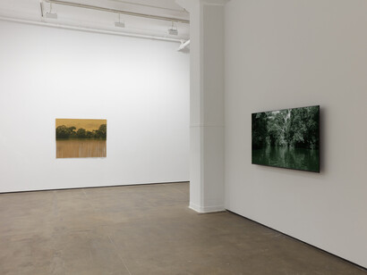Ana González, Río, exhibition view. Courtesy of Sean Kelly Gallery