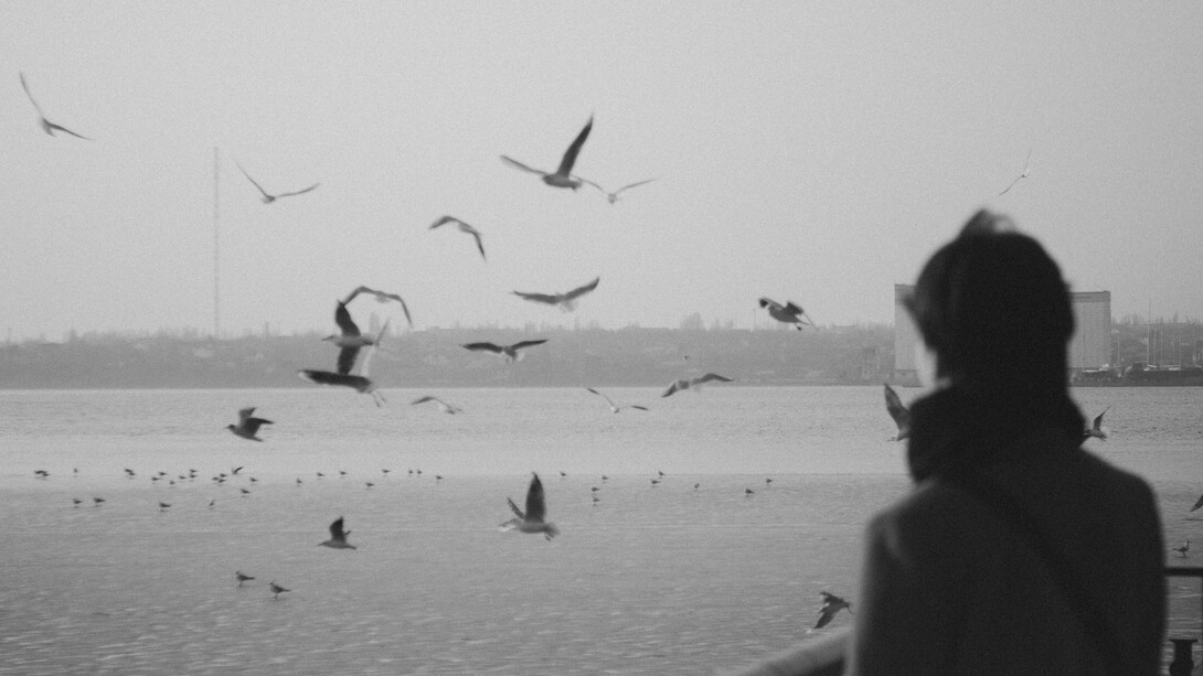 Pesquisas mostram que o silêncio ativa áreas cerebrais responsáveis por imaginação e planejamento. Ele permite que conexões antes desconexas se tornem soluções criativas. É por isso que os melhores *insights* aparecem no banho, na estrada ou naquele momento solene em que você está parado olhando para o nada. O silêncio, nesse caso, funciona como o “modo desenvolvedor” da mente humana: invisível, eficiente e absolutamente necessário