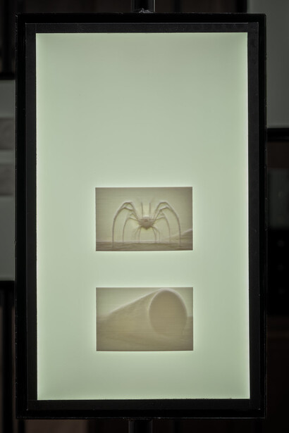 Pierre Gaignard, latent_breath_SDXL() (6), 2025. Avec l'aimable autorisation de la Galerie Eric Mouchet