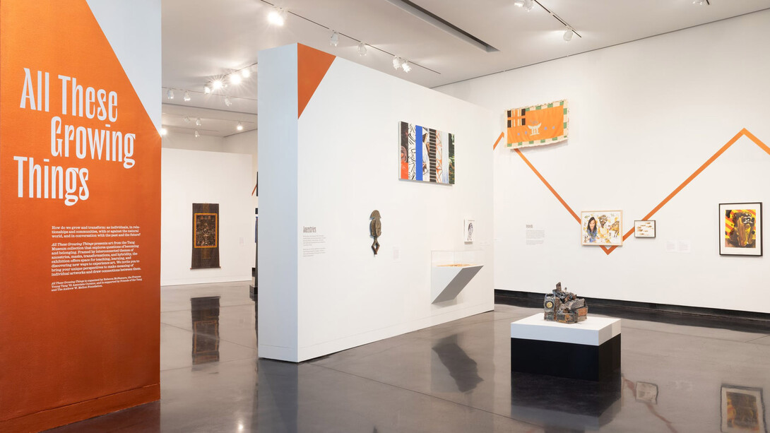 All these growing things, exhibition view. Courtesy of Tang Museum