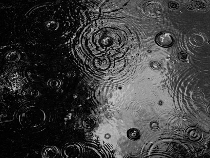 Chuva na rua. O tempo andava esquisito, choveu de manhã cedo, cordas de chuva que caíam grossas, com o vento de rajada e as árvores, coitadas, sem terem onde se esconder, depois apareceu o Sol primeiro de forma tímida e, agora, perto do meio-dia, abria-se em pano de fundo, como se o dia tivesse mudado de ideias