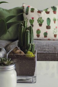 Gli elementi naturali in casa donano benessere ed equilibrio