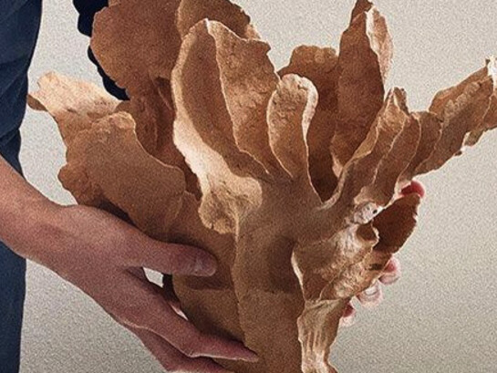 "Como diseñador gráfico, estaba acostumbrado a trabajar frente a una computadora todo el tiempo. Trabajar con cerámica te permite crear algo tridimensional, palpable y que se puede terminar en ese mismo instante. Esto era algo completamente diferente para mí