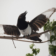 Sunset Décor, Exhibition view. Courtesy of Marian Goodman Gallery