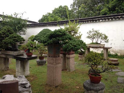 El cultivo y diseño de bonsáis, de hecho, se reconoce como un arte, ya milenaria, que tuvo sus orígenes en la antigua China, durante la Dinastía Tang.  Jardín de bonsais en Zhuozhengyuan. Jardín en Suzhou,China. Patrimonio Mundial de la UNESCO