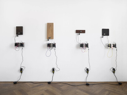 Bagus Pandega, Sumber alam, vue de l'exposition. Avec l'aimable autorisation de la Kunsthalle Basel