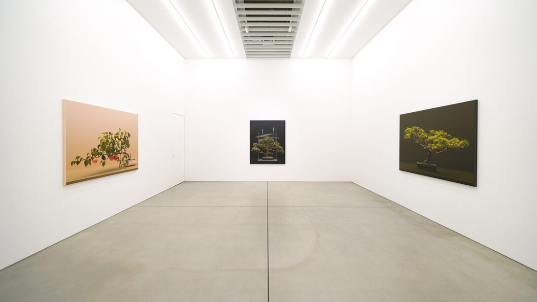 Erin Wright, Nearly natural, exhibition view. Courtesy of Maki Gallery
