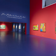 Awanle Ayiboro Hawa Ali, Fine feathers don't make fine birds, exhibition view. Courtesy of OK Linz