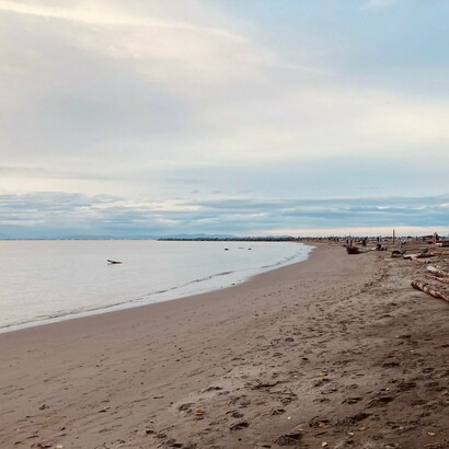 A view of Point Grey from Wreck Beach, Vancouver, Canada