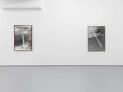 Tito Mouraz, Selva oscura, exhibition view. Courtesy of 3+1 Arte Contemporânea